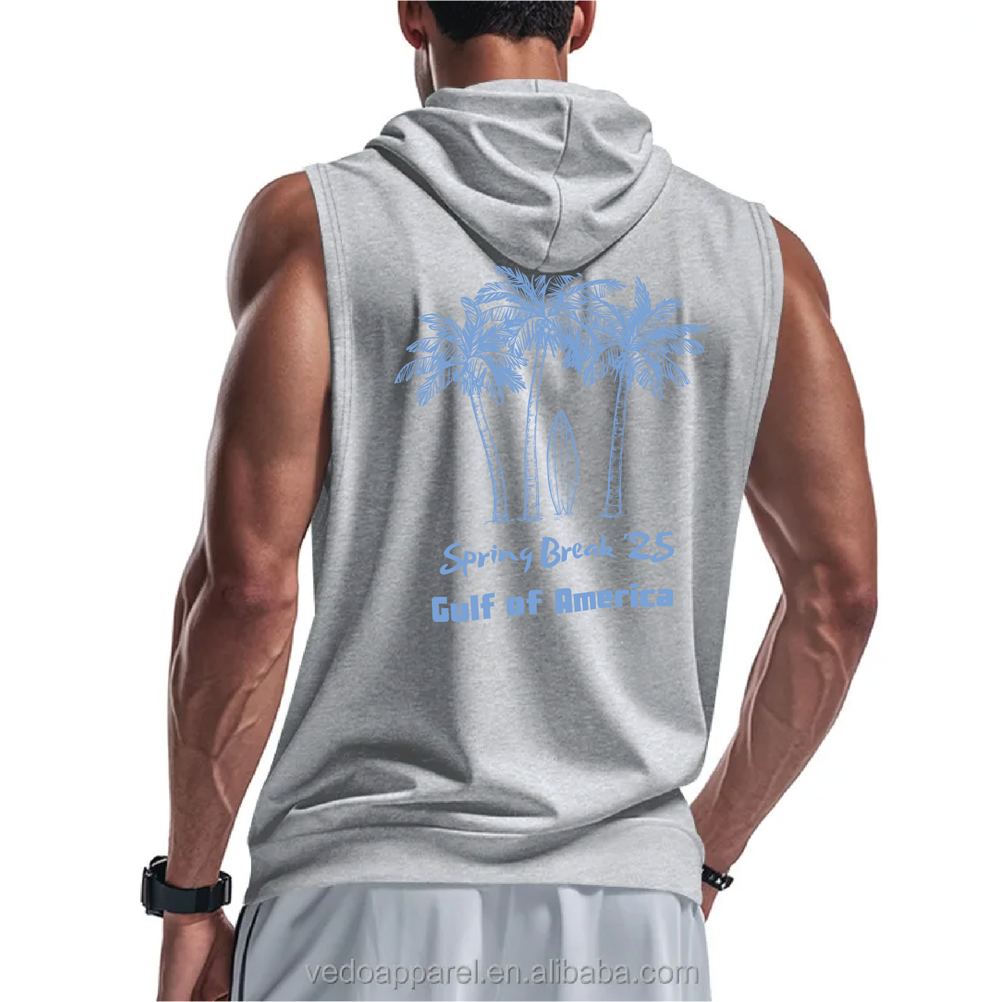 Spring Break 2025 Gulf of America hoodie